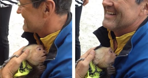 Sweet Circus Monkey Gets Emotional When He Greets His Human Friend After A Year