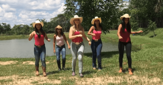 5 Ladies In Pink With Matching Hats Line Dance To An Alan Jackson Classic