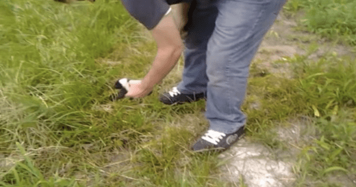 Innocent Baby Skunk Is Rescued After Mistaking A Shoe For His Mom