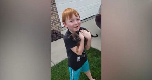 Thrifty 6-Year-Old Saves Up For A Puppy And Gets Rewarded By His Parents