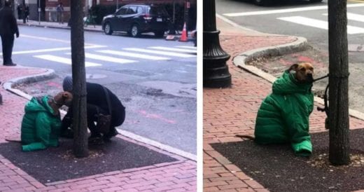 Woman Earns Respect When She Gave Her Own Jacket To Her Shivering Dog