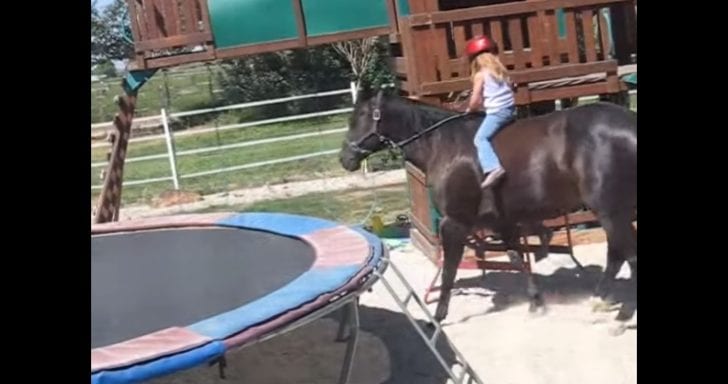 Little Girl Struggling To Ride Horse Perseveres And It Pays Off