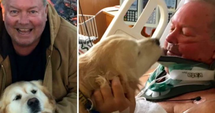 Loyal Dog Takes Care Of Owner Who Passed Out In Snow For 20 Hours