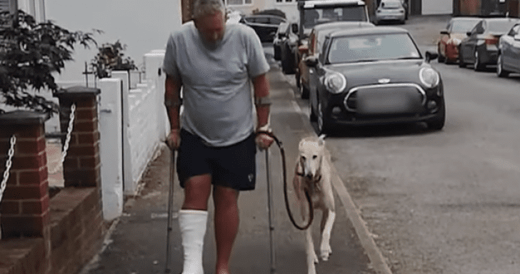 Dog Pretends To Limp Out Of Sympathy For Owner With Leg Cast