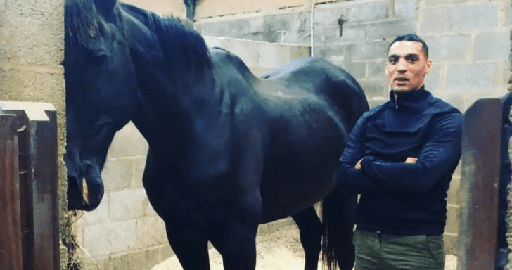 Veteran Bids For His Former Royal Horse After 15 Years Of Retirement