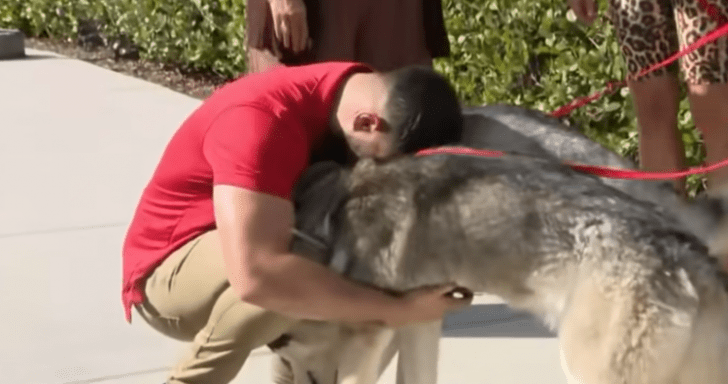 Man Finds His Missing Huskies During A Pet Adoption Photoshoot