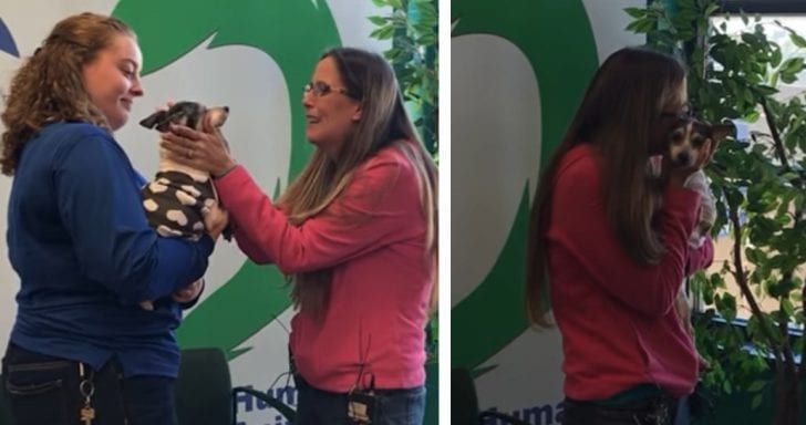 Grateful Woman Gets Reunited With Her Lost Dog After 12 Years