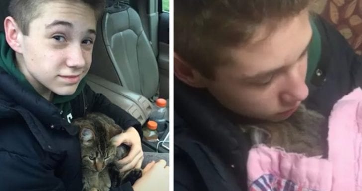 Teen Braves Traffic To Save Thrown-Out Cat