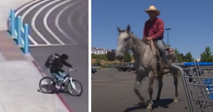 Cowboy Horseback Riding In Walmart Catches Bike Thief With Lasso