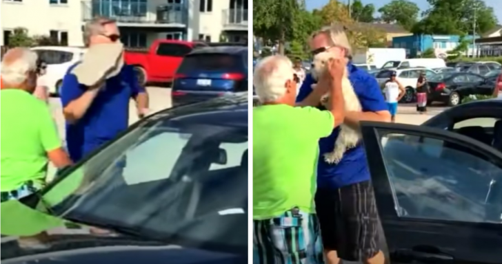 Passerby Breaks Car Window To Save Dog Trapped In Hot Car