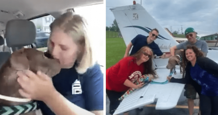 Volunteer Pilots Send Stolen Dog Back Home