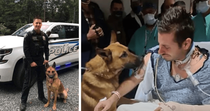 Brave Cop Retires With His K9 Buddy