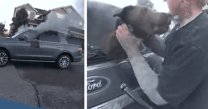 Brave Cop Rescues Dog From Burning Car