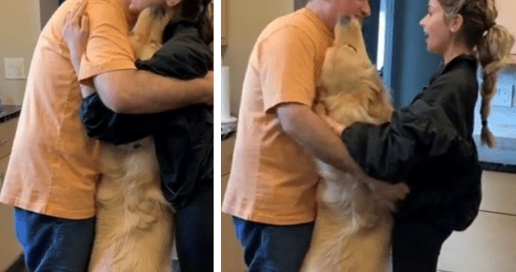 Clingy Golden Retriever Wants To Join Hug