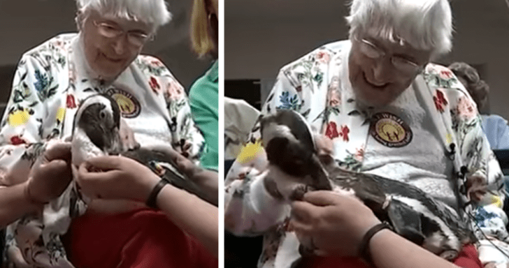 104-Year-Old Woman Meets A Penguin For The First Time