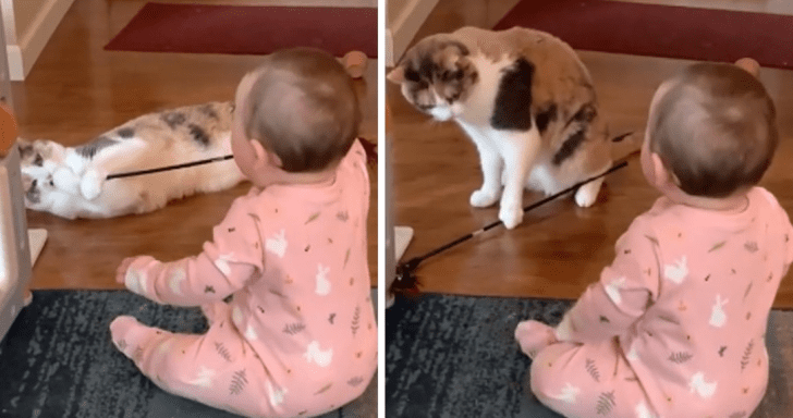 Sweet Baby Has Too Much Fun Playing With The Cat