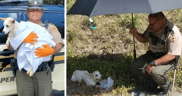 Compassionate State Trooper Rescues And Adopts Dog Found On Side Of Highway