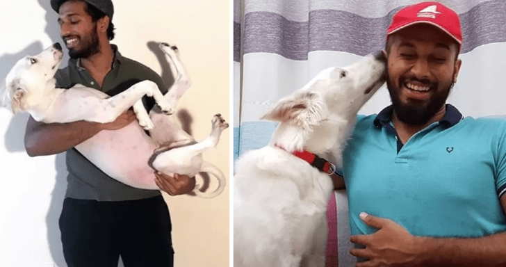 Stand-Up Comedian Rescues Stray Dog Under A Parked Car