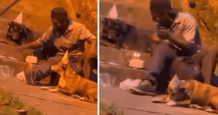 Homeless Man Throws A Simple Birthday Party For His Two Dogs