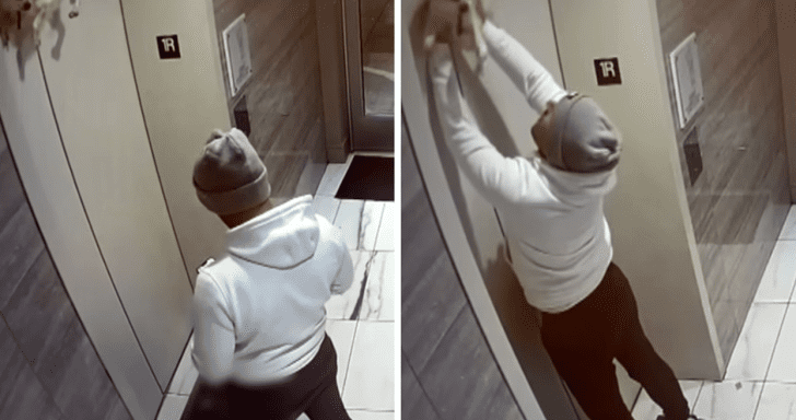 Quick-Thinking Man Rescues Dog Hanging From Elevator