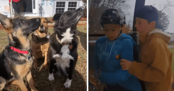 Vigilant Middle Schoolers Save Neighbor’s Three Dogs From House Fire