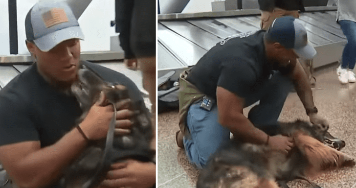 Retired Military Dog Reunites With Former Handler