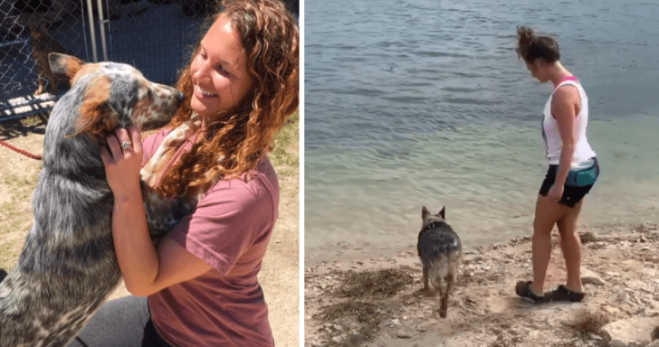 Deaf Dog Understands His Deaf Owner Through Sign Language