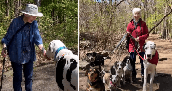 Widowed Woman Becomes Hiking Buddies With Friendly Great Dane