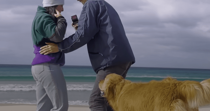 Jolly Golden Retriever Celebrates His Owners’ Engagement