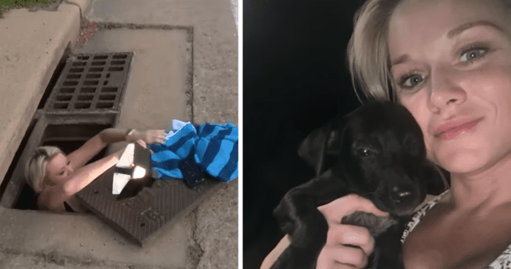 Animal Rescuer Goes Into Storm Drains To Search For Crying Puppies