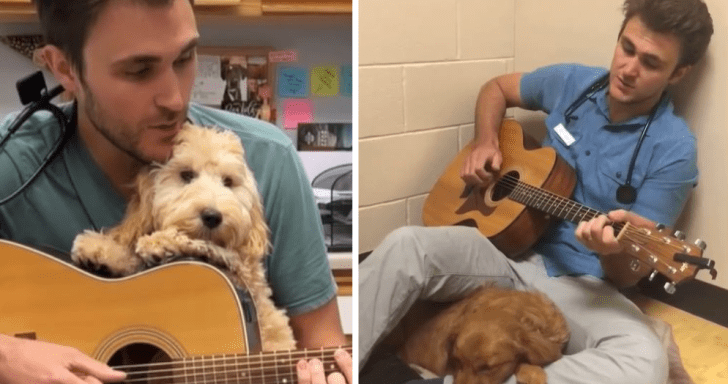 Talented Vet Serenades Dogs At The Clinic