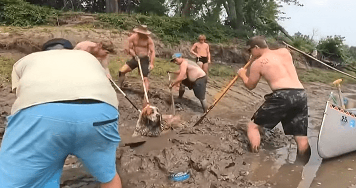 11 Men In Bachelor Party Trip Rescue A Saint Bernard Dog Stuck In Mud