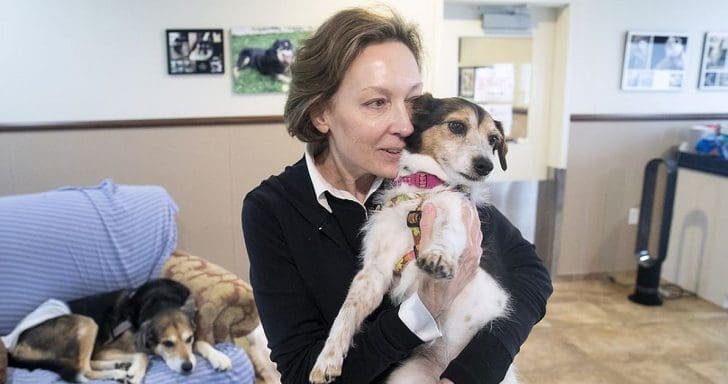 Dog Retirement Center Allows Canines To Best Enjoy Their Senior Years