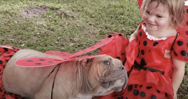 Little Girl Picks Sick Pit Bull To Be Her Best Friend